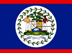 [ai] The national flag of Belize featuring a blue background with red stripes at the top and bottom. In the center, there is a circular seal depicting two woodcutters holding tools, surrounded by greenery and a white border.